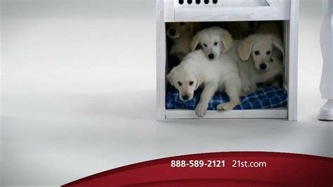 21st Century Insurance Tv Commercial Puppy Comparison Ispottv