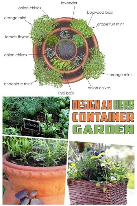 Design An Herb Container Garden Around Gourmet Seasoning Herb Teas