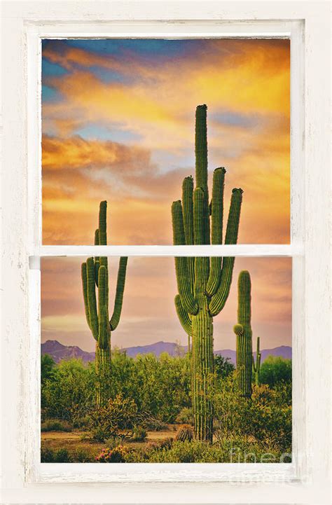 Southwest Desert Sunset White Rustic Distressed Window Art Photograph