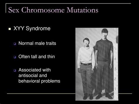 Ppt Mutations Powerpoint Presentation Free Download Id1604183