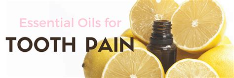 9 Best Essential Oils For Tooth Pain Grinding Cavities Whitening And More