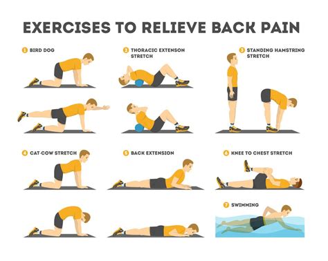 Lower Back Pain Treatment Exercises Stretches