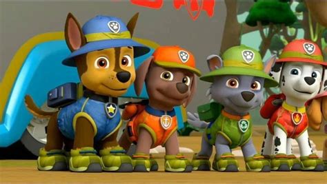 Jungle Chase Zuma Rocky And Marshall By Connorneedham On Deviantart Paw Patrol Party Paw