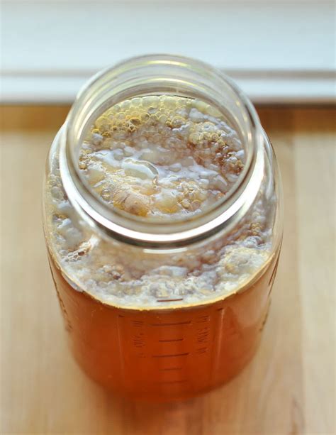 how to make your own kombucha scoby kitchn