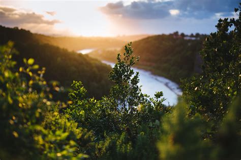 Wallpaper Sunlight Trees Landscape Forest Depth Of Field Hill