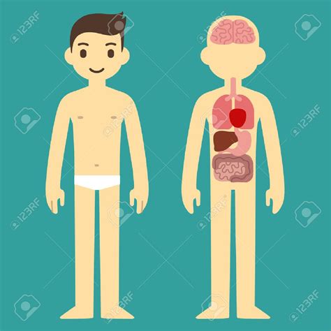 Cartoon Human Body Clipart 20 Free Cliparts Download Images On