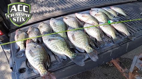 Summer Crappie Fishing 2021 Simple Tip For The Hard Summer Crappie