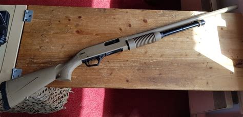 Fusil à pompe Winchester SXP calibre 12 76 canon de 61cm Cat C