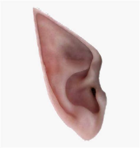 Elf Ear Template