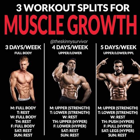 8 Powerful Muscle Building Gym Training Splits GymGuider Com