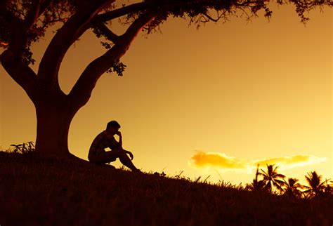 Sad And Lonely Man Sitting Alone Under A Tree Stock Photo Download