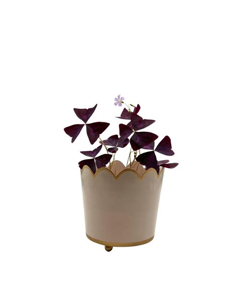 Scalloped Planter | Small | Rose Pink – Tooka