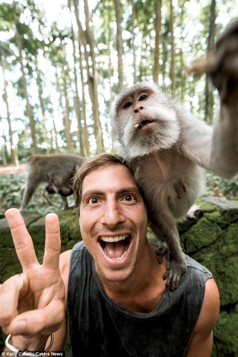 Man Captures Amazing Monkey Selfie In Balis Sangeh Monkey Forest