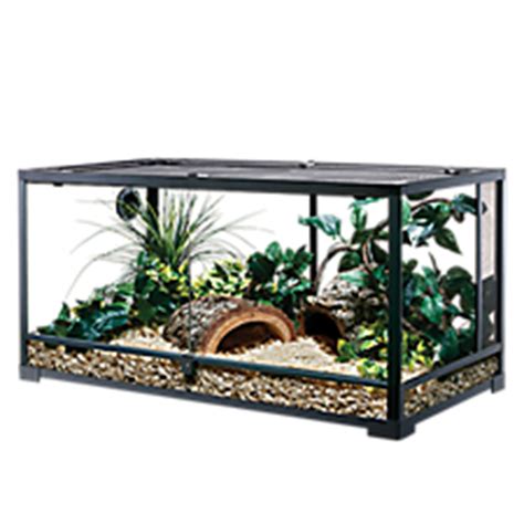 Reptile Supplies: Reptile Accessories & Products | PetSmart
