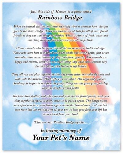 Rainbow Bridge Pet Memorial Sign With Poem And Flower Meadow