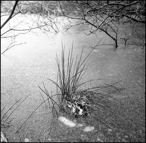 Return Visit To A Pond Kevinthephotographer