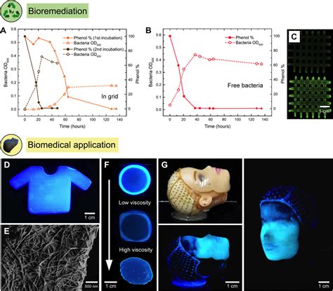 3d Printing Of Bacteria Into Functional Complex Materials Science