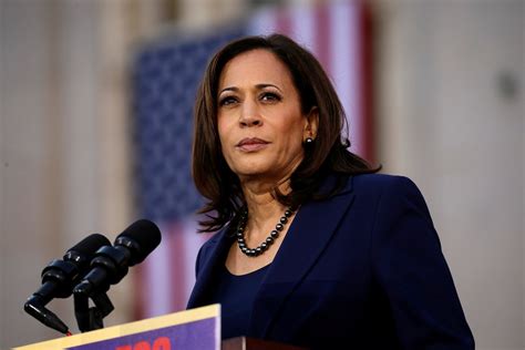 The vice president faced heavy criticism after she shared a smiling photo of herself on social media ahead of the solemn memorial day holiday and captioned it, enjoy the long we Trump fans false birther theory about Kamala Harris ...