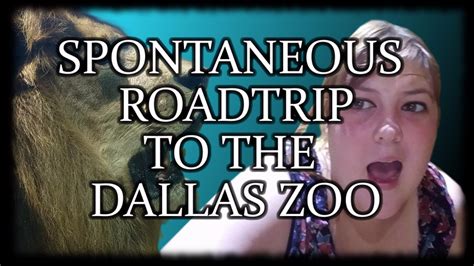 Spontaneous Road Trip To The Dallas Zoo 2017 Youtube