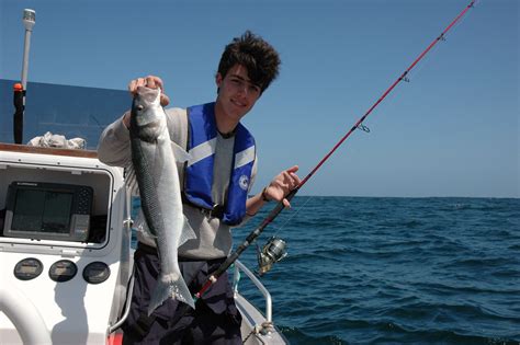 Bar : le bon choix de technique de pêche | Pratique.fr