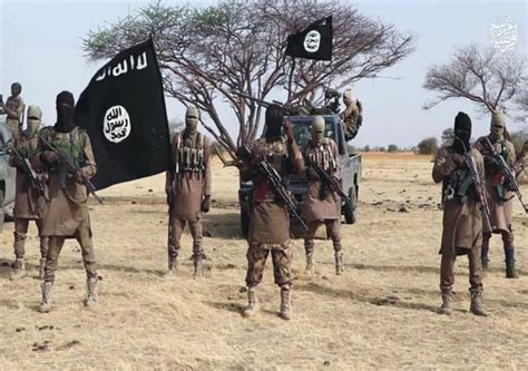 Surprise As Notorious Boko Haram Commander Surrenders