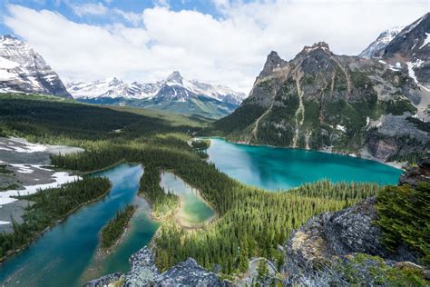 A Complete Guide To Camping And Hiking At Lake Ohara Camping Guide