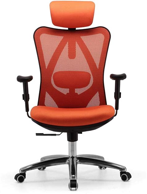 Sihoo Ergonomic Office Chair High Back Desk Chair