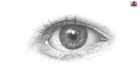 How To Draw A Realistic Eye Easy Step By Step Drawing