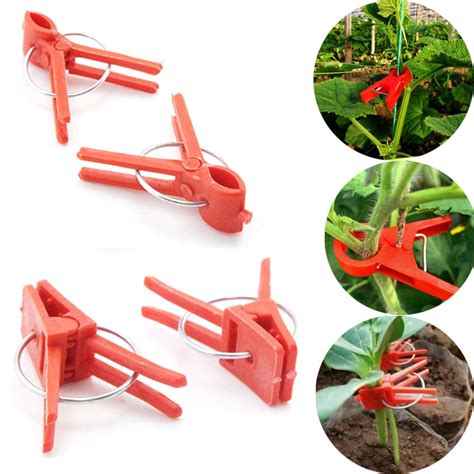 Plastic Plant Support Clips Clamps For Plants Hanging Vine Garden