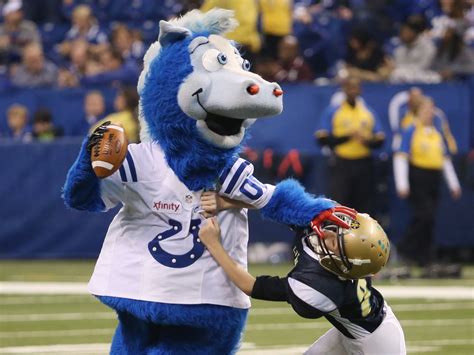 Being Blue The Man Behind The Colts Mascot Fox 59