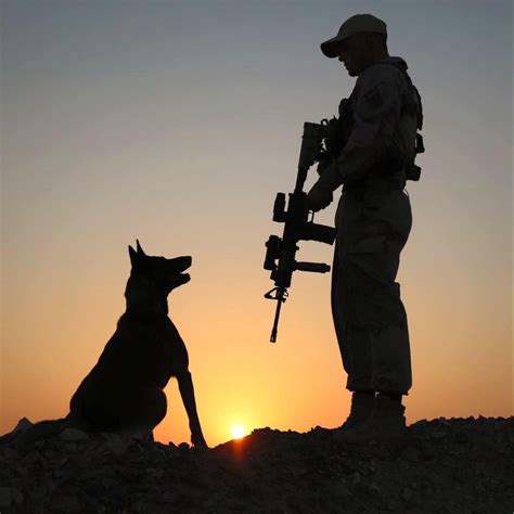 Dutch Soldier And A K9 During Deployment In Iraq 2016 959x960