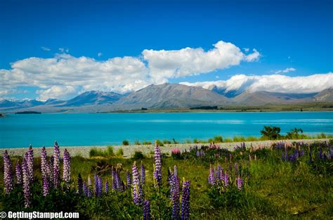 Taking The Scenic Road From Christchurch To Lake Tekapo