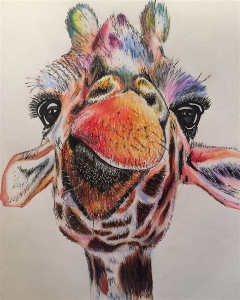Giraffe Color Pencil Drawing By Abigal Leigh