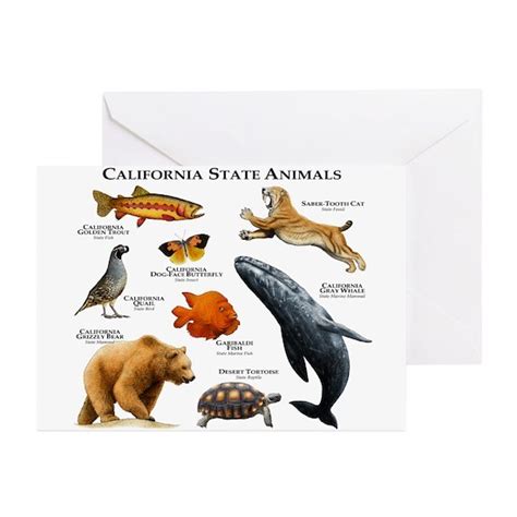 California State Animals Greeting Cards Pk Of 10 By Wildlife Arts2