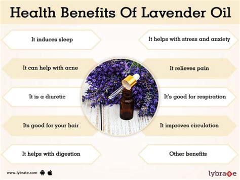 Aromatherapy Lavender Oil Effectivenesshow To Use Aroma Oil
