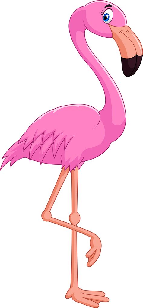 Flamingo Clipart 2 Legged Animal Flamingo 2 Legged Animal Transparent