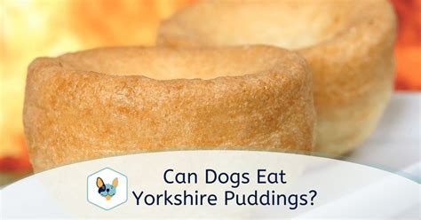 Can dogs eat Yorkshire Pudding? | Your Pet Insured