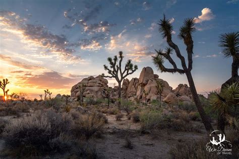Best Joshua Tree Photography Spots Sunset Sunrise And Stars
