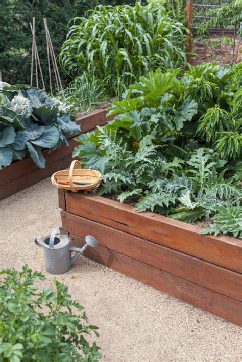 5 Reasons To Grow Vegetables In Raised Beds Coldwell