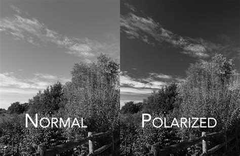 5 Essential Filters For Black And White Photography You Should Own