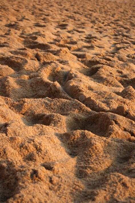 海滩沙子 库存照片 图片 包括有 沙漠 背包 沙丘 关闭 硅土 贫瘠 滚磨的 火箭筒 沙子
