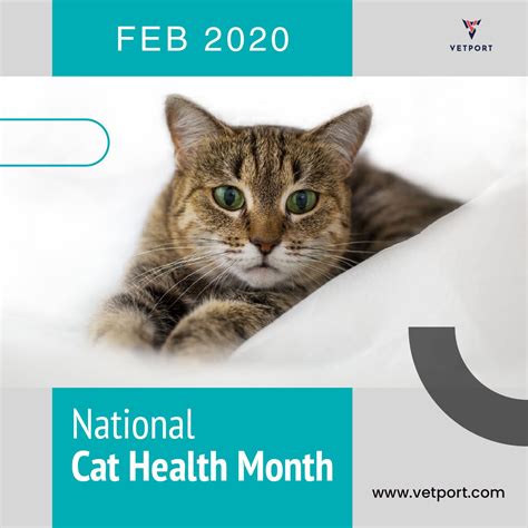 It reports an approximate dollar amount based on consumer recollection of their spending in the prior 12 months. National Cat Health Month in 2020 | Cat health, Cats, Pet care