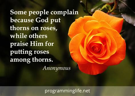 In this post, we are presenting for you the 51 quotes about roses and thorns which is been selected by the tales by males team. Gratitude Quote Devotional - Programming Life
