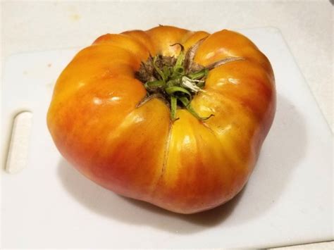 Tomato Striped German Seeds Certified Organic Tomatoes Garden