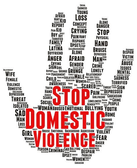 Domestic Violence Lake County Domestic Relations Court