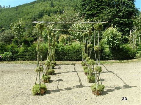 Natural Wood Arches Oregon Coastal Flowers