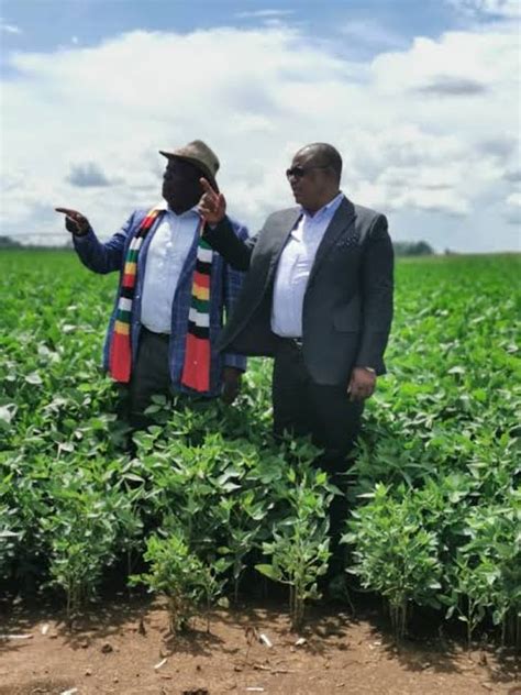 Repossession Of Idle Farms Starts Today Zim Govt Reverses Mugabe Land