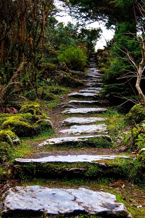 Ancient Stone Path Path Hill Trees Woods Flat Stones Etsy