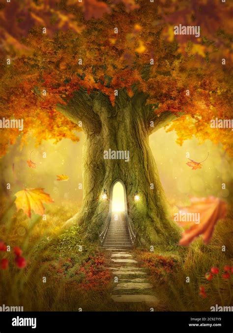 Enchanted Forest In Autumn Stock Photo Alamy