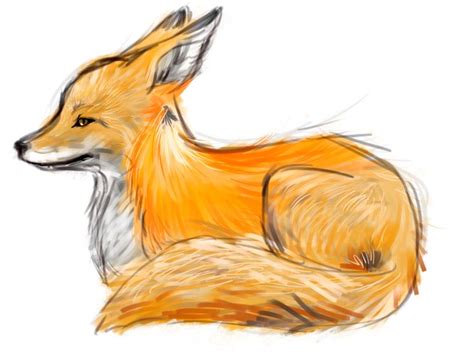 Fox Sketch By Yumenei On Deviantart Fox Drawing Fox Sketch Fox Art